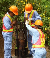 Field application